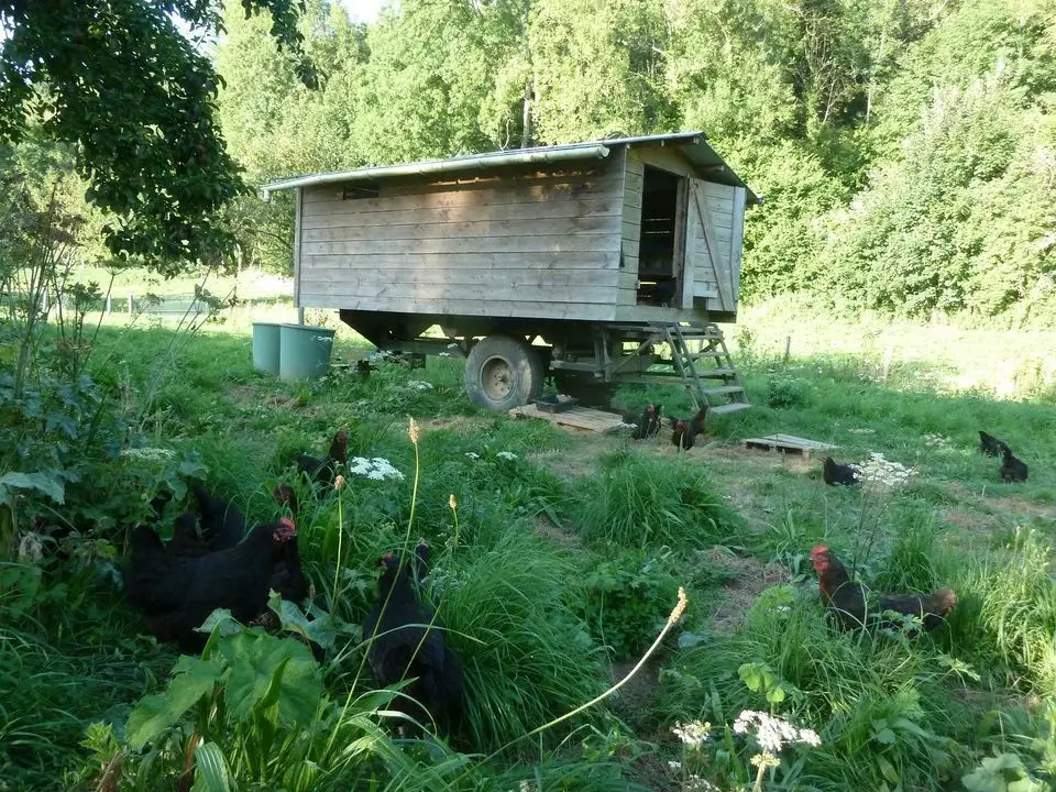 La Ferme Des Cocottes