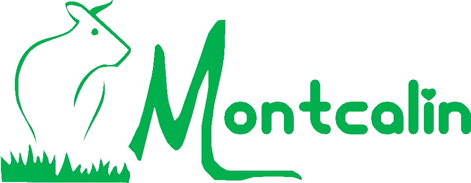 SCEA MONTCALIN