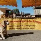 la-papillonne-24