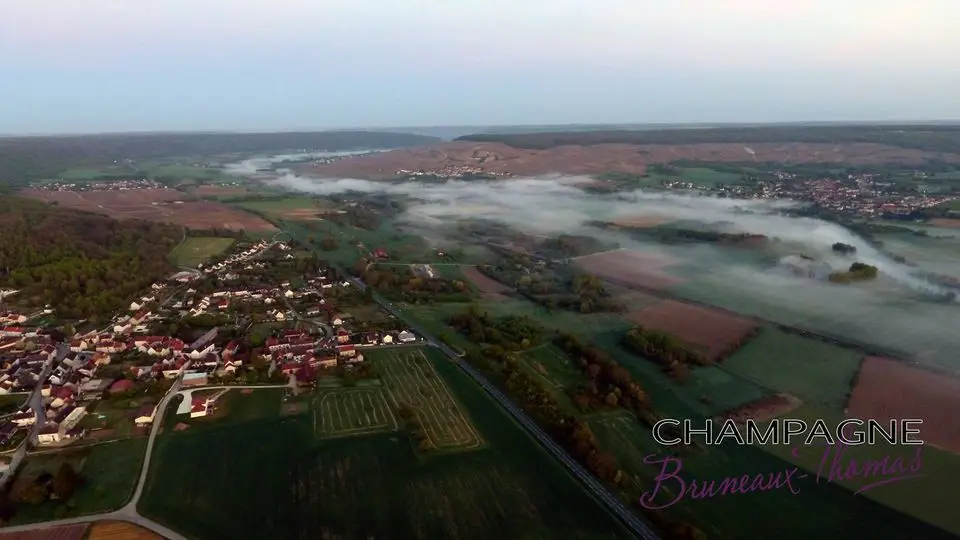 Champagne Bruneaux Thomas