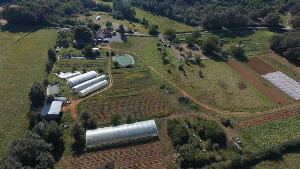 Les Jardins de Boscornut : poulets, légumes et oeufs bio