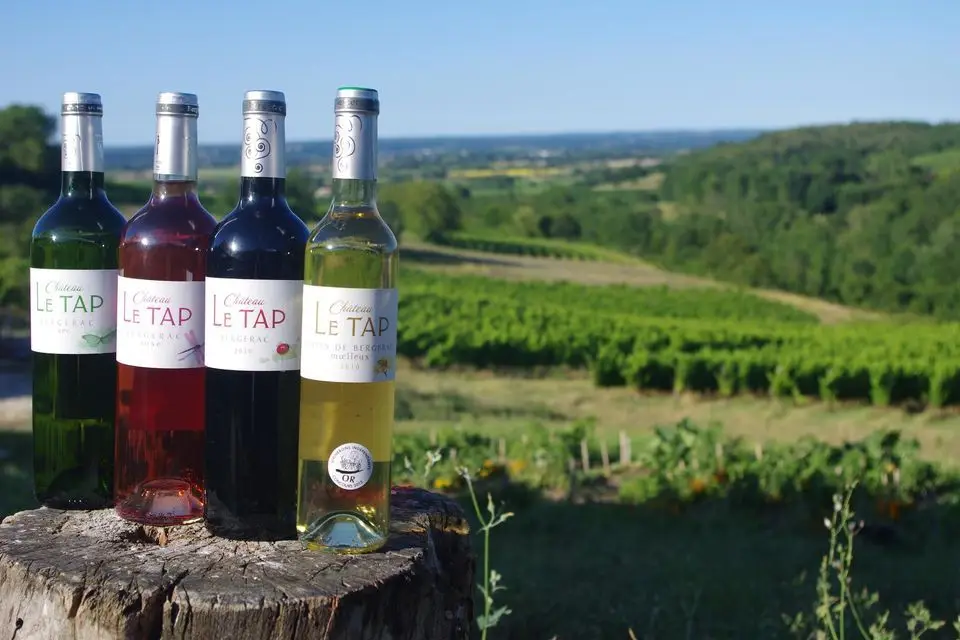 Chateau Le Tap
