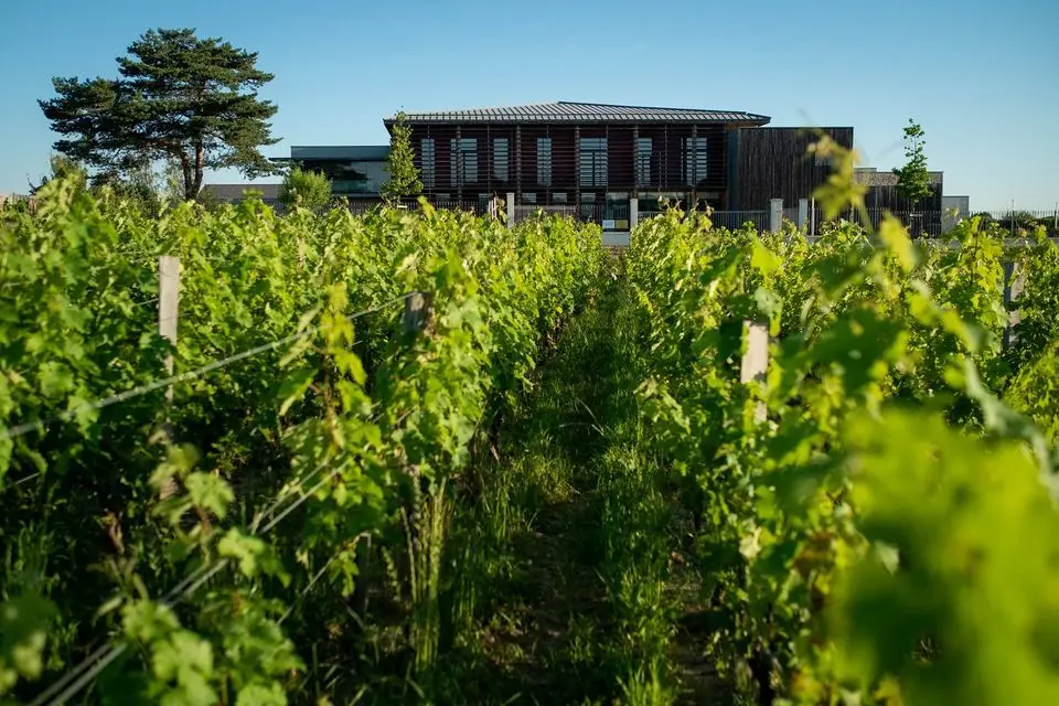 Château Couhins