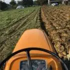le-potager-de-roger-07