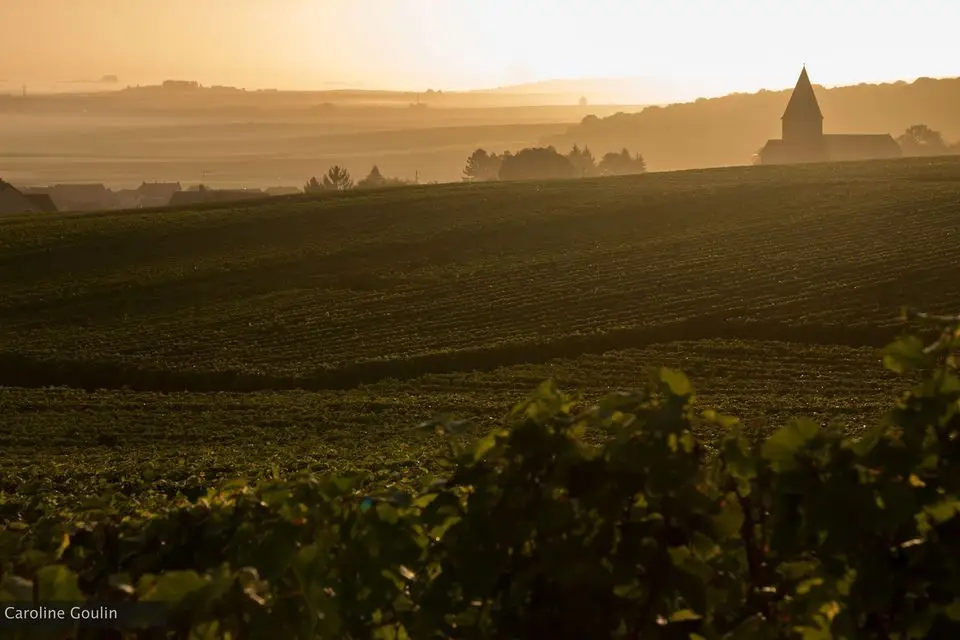 Champagne Goulin Roualet