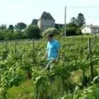 chateau-le-tap-24