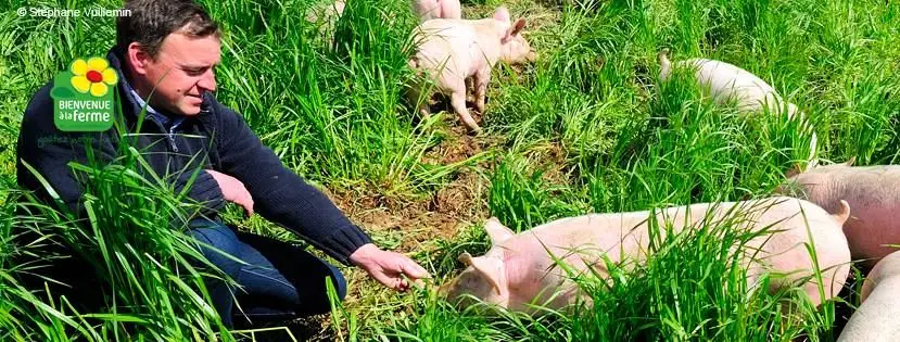 Les Cochonnailles de Jérémie
