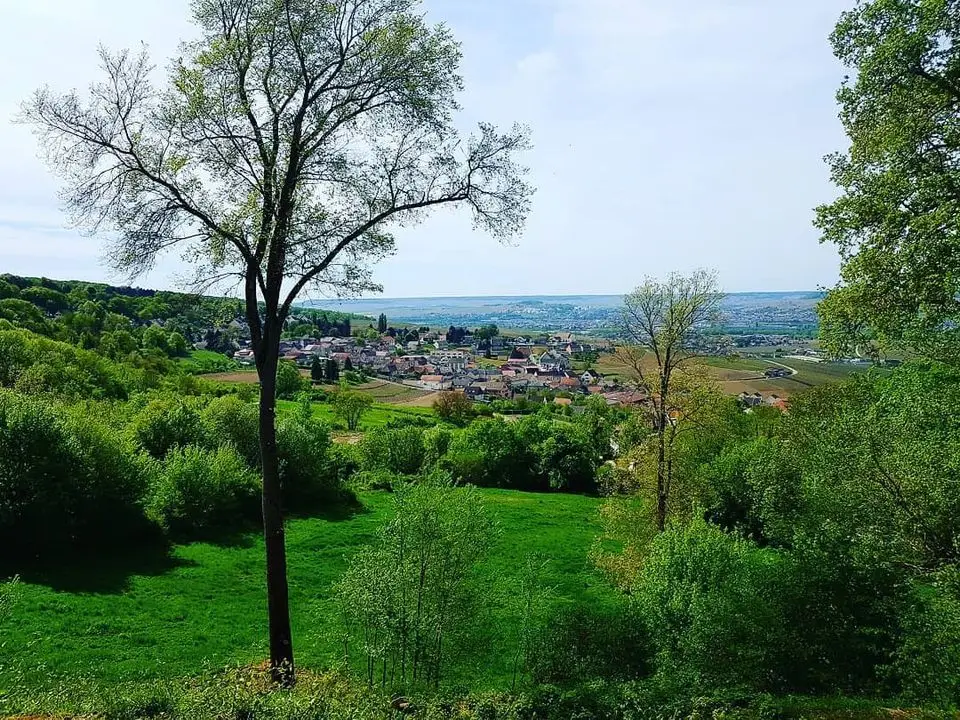 Autréau Champagne Champillon