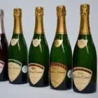 champagne-christian-etienne-domaine-de-l-esperance-10