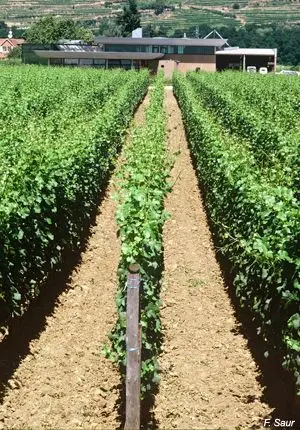Domaine Zind-Humbrecht