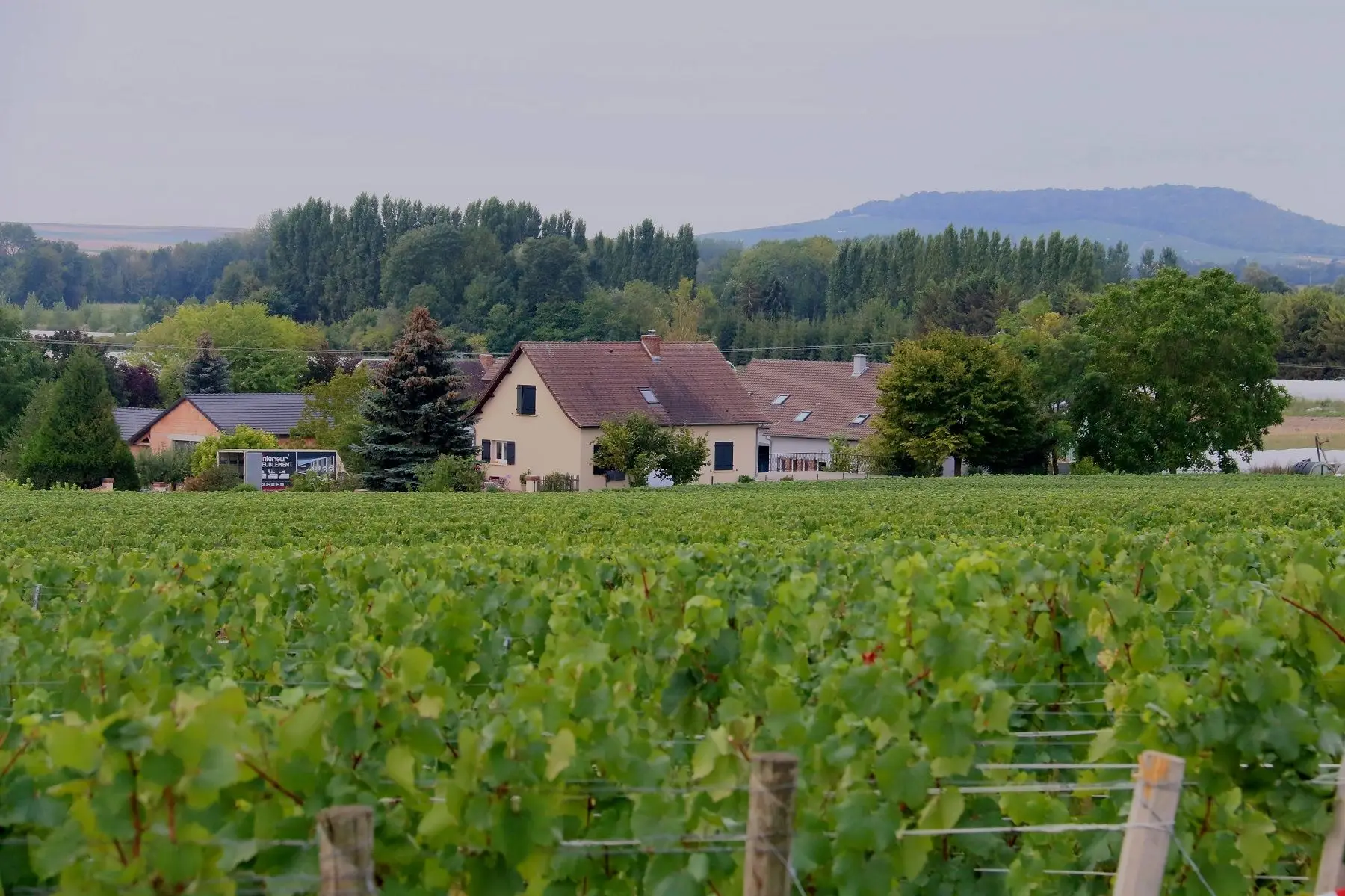 Champagne CHAUMONT D. et Fils