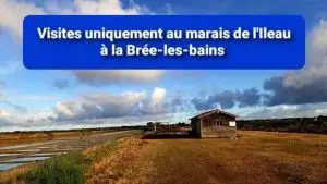 Le cristal du saulnier d'Oléron - Marais de L'Ileau La Brée 