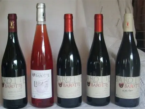 domaine de la barotte - Mme & M. Reboul
