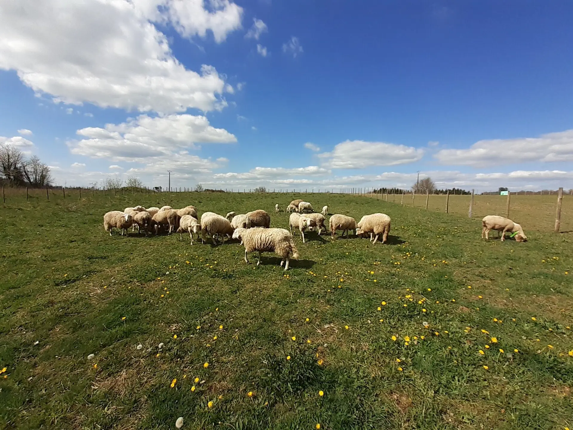 La Ferme de Pimael