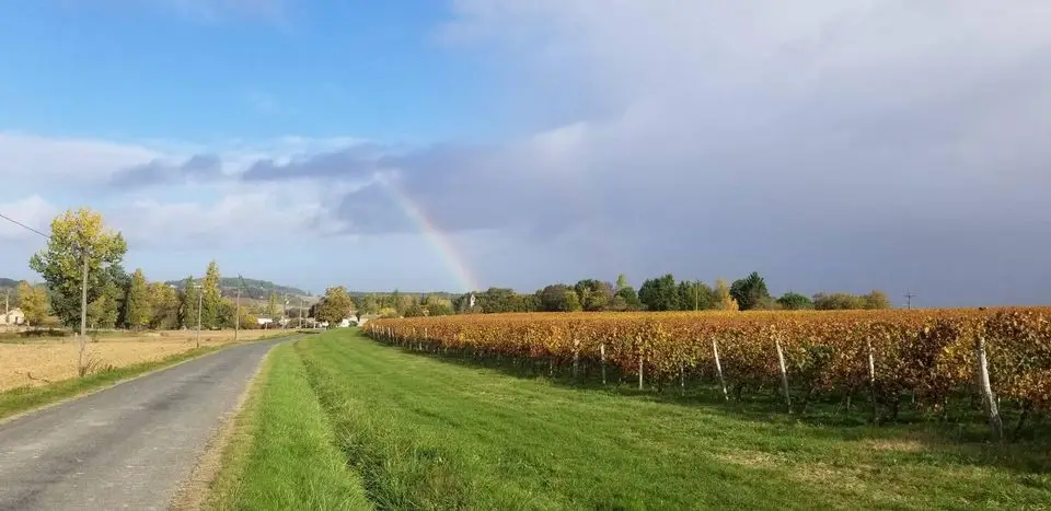 CHÂTEAU LA FORÊT - Vignobles Borie