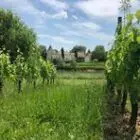chateau-couronneau-33