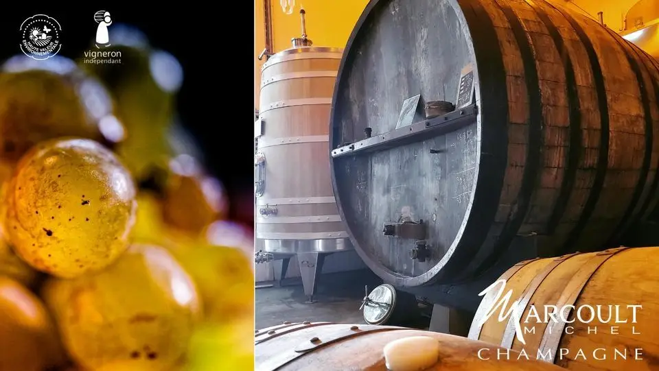 Champagne Marcoult
