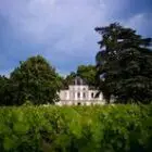 chateau-haut-nouchet-33