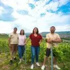 champagne-andre-cez-rondeau-et-fils-51