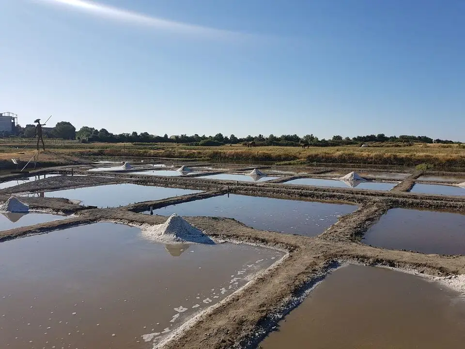 Salt marsh of Mornac sur Seudre