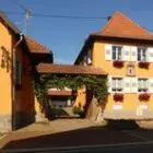 vins-scheyder-67