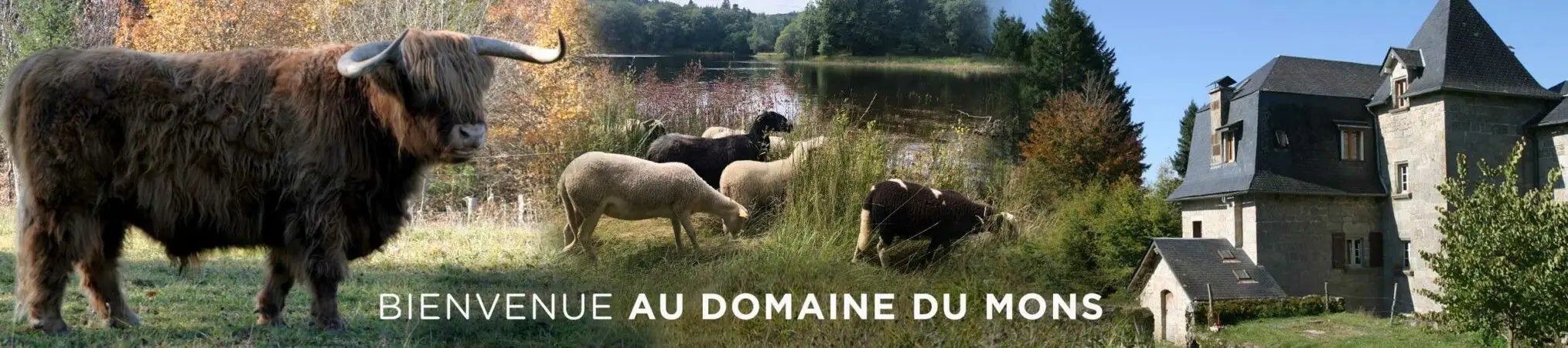 Domaine du Mons