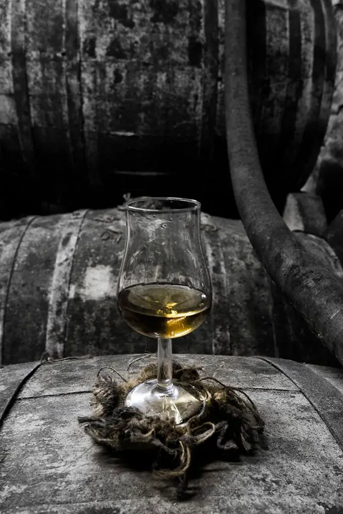 Sarl Domaine Pasquet