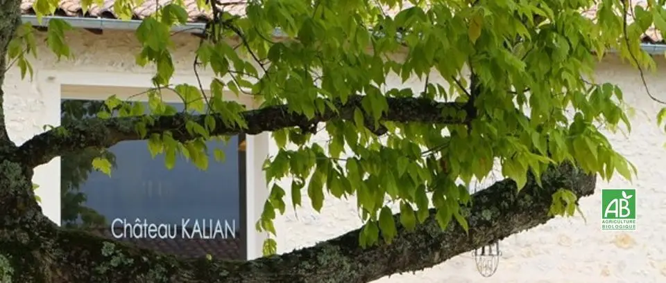 Chateau Kalian
