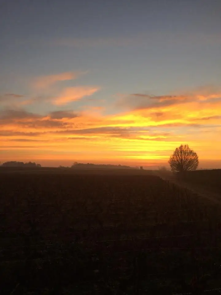 Château Fonréaud