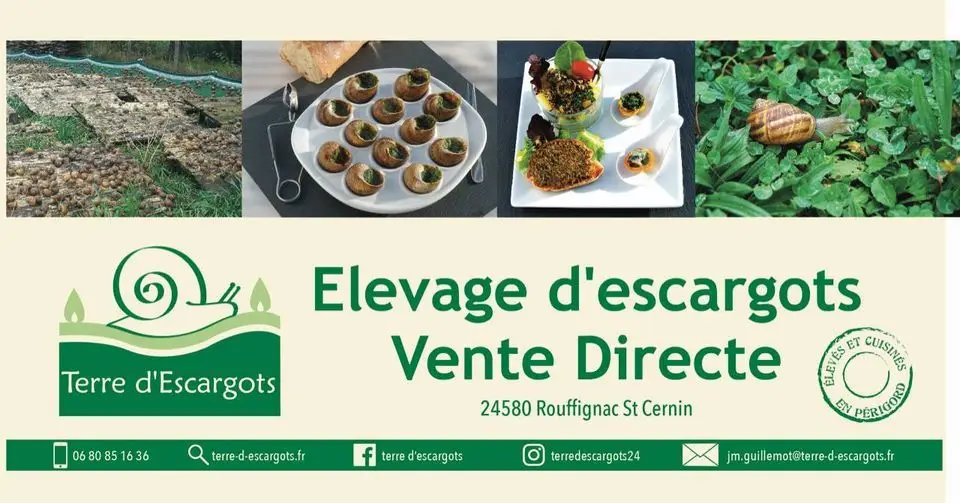 TERRE D'ESCARGOTS