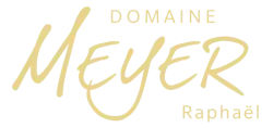 Domaine MEYER Raphaël_Vins et Crémants d'Alsace