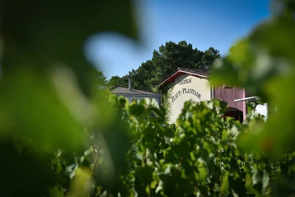Château Haut-Plantade