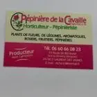 chatonnet-patrick-24