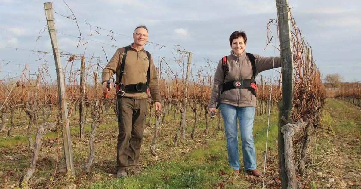 Domaine André