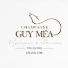 champagne-guy-mea-sce-the-way-of-the-wolf-51