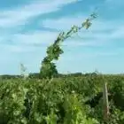 clos-grange-vieille-33