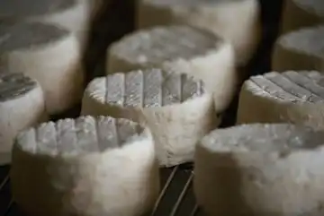 Ferme de la Chèvre Bleue