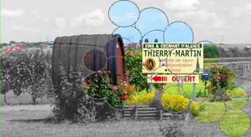 Vins Thierry Martin