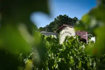 Château Haut-Plantade