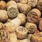 champagne-alain-pienne-51