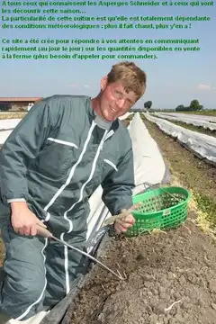 Schneider Richard