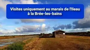 Le cristal du saulnier d'Oléron - Marais de L'Ileau La Brée 