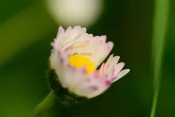 Le Jardin de Sarah