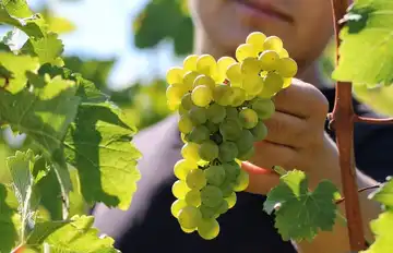 Domaine Chante l'Oiseau