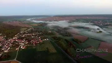 Champagne Bruneaux Thomas