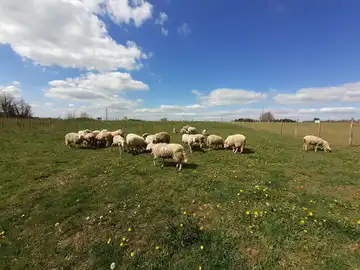 La Ferme de Pimael