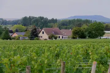 Champagne CHAUMONT D. et Fils