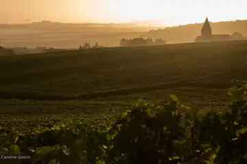 Champagne Goulin Roualet