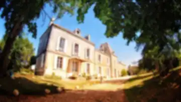 Chateau Buisson