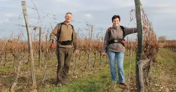Domaine André
